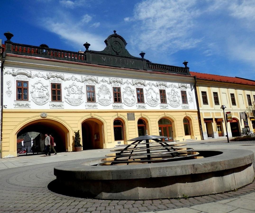 Apartman Ala Spišská Nová Ves エクステリア 写真